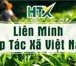 LUẬT HTX 2023 – CHƯƠNG VIII. KIỂM TOÁN HỢP TÁC XÃ, LIÊN MINH HỢP TÁC XÃ