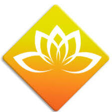 Lotus – Phần mềm kế toán HTX thông tư 71/2024