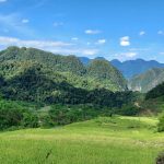 Giải pháp IoT cho trang trại Gà Vịt