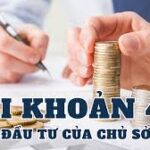 TÀI KHOẢN 411 – VỐN ĐẦU TƯ CỦA CHỦ SỞ HỮU HTX