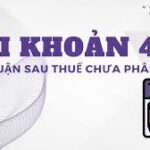 TÀI KHOẢN 421 – LỢI NHUẬN SAU THUẾ CHƯA PHÂN PHỐI TRONG HTX