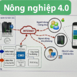 Các loại cảm biến dùng trong trồng trọt