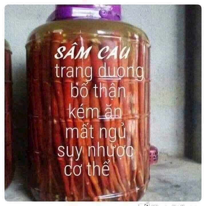 Sâm Cau Đỏ ngâm rượu