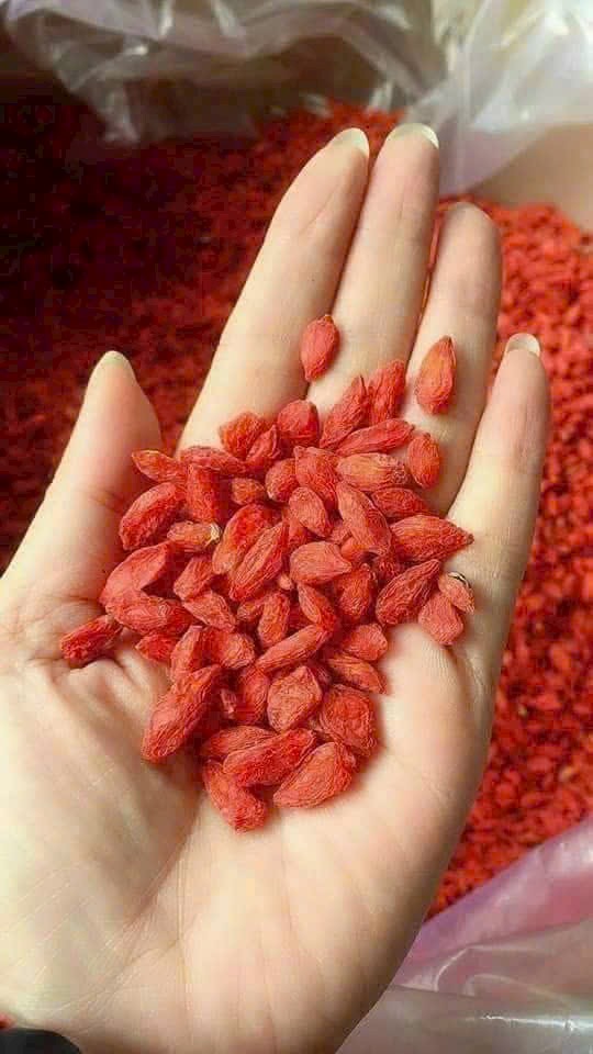 TÁO ĐỎ - Ảnh 3