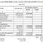 Phân tích báo cáo tình hình tăng giảm vốn chủ sở hữu HTX